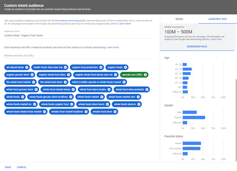 youtube advertising cost - screenshot of custom intent audience targeting on youtube