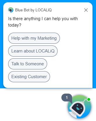 web chat - example of localiq chatbot