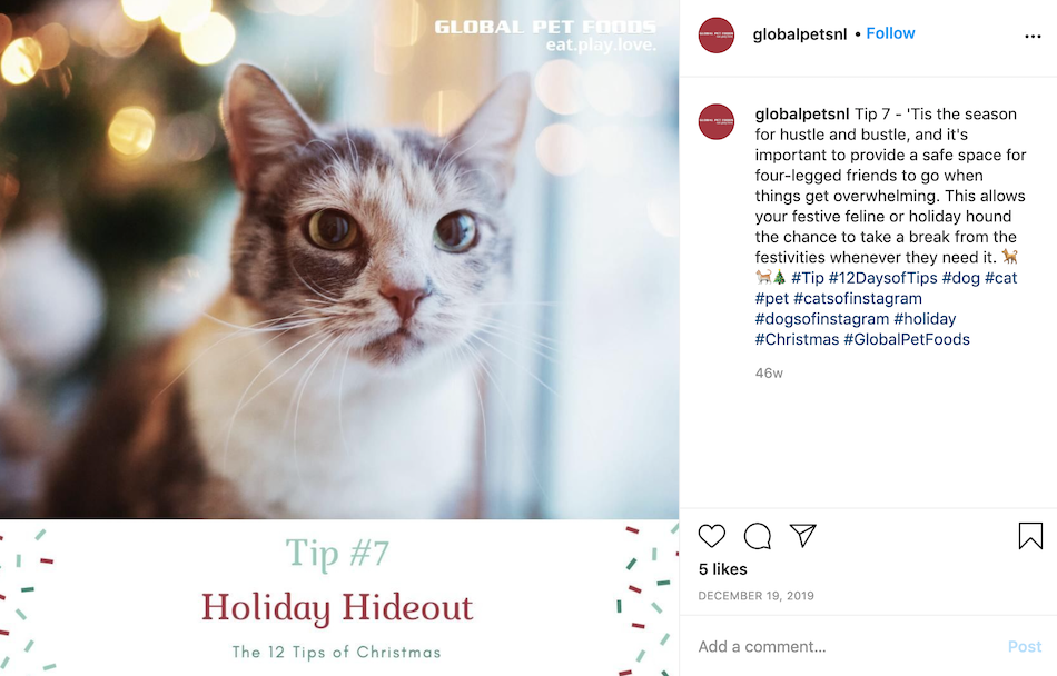 One holiday instagram example post is to provide helpful tips for the 12 days of christmas.