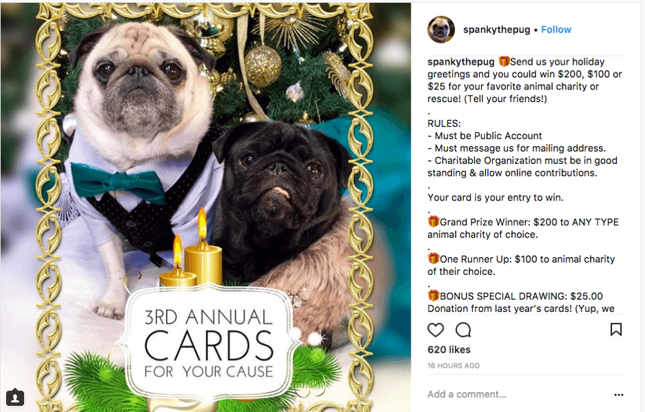 12 Holiday Instagram Giveaway Ideas & Examples