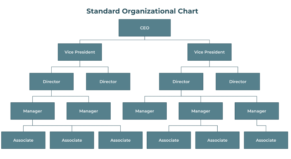 organizational chart for small business - standard org chart example