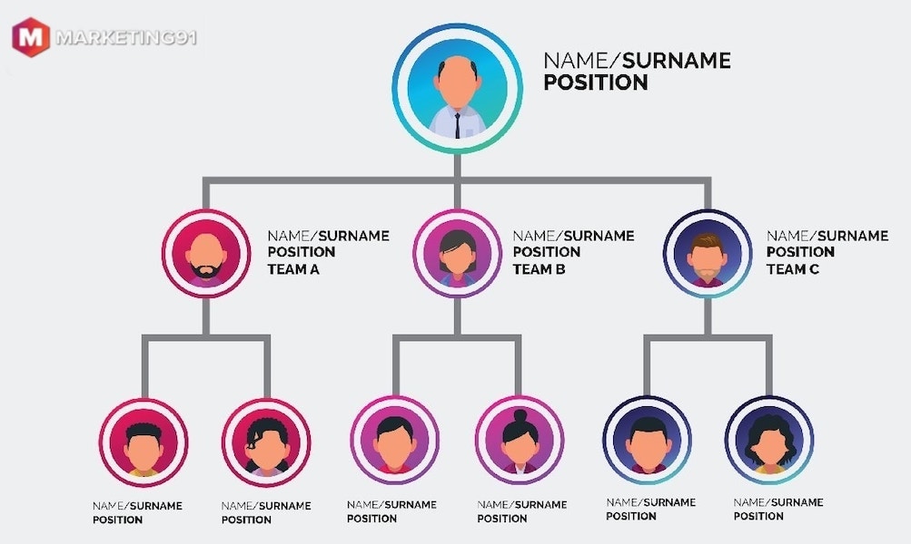 small business organizational structure - hierarchical structure