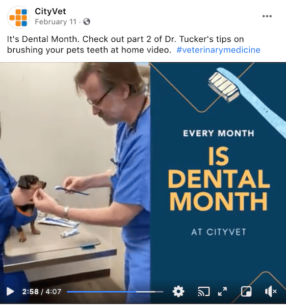 brand awareness example - facebook video post from cityvet about dental month