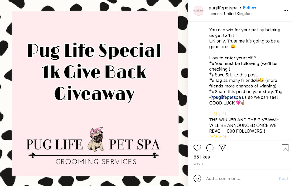 Instagram Giveaway Guide: How to do a giveaway on Instagram