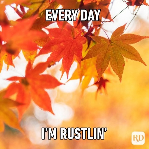 october email subject lines - everyday im hustling leaves meme