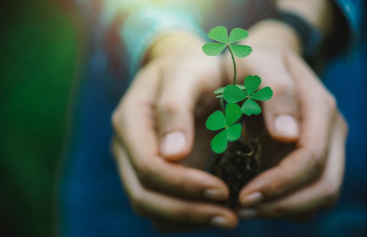 27 Lucky St. Patrick’s Day Marketing Ideas, Promotions, & Email Subject Lines