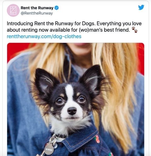 april fools social post idea from rent the runway