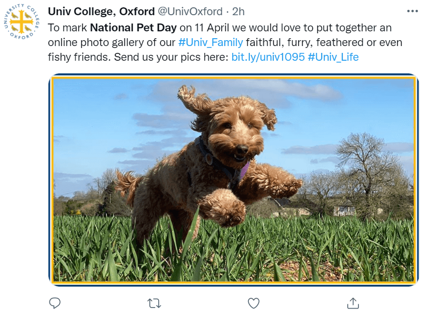 april social media holidays - national pet day university tweet