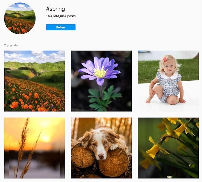 spring instagram captions - spring hashtag on instagram