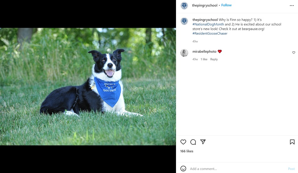 august social media holidays - national dog month small business instagram post