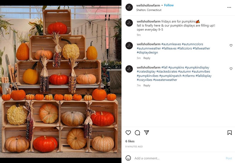 fall instagram captions - universal fall instagram caption small business example