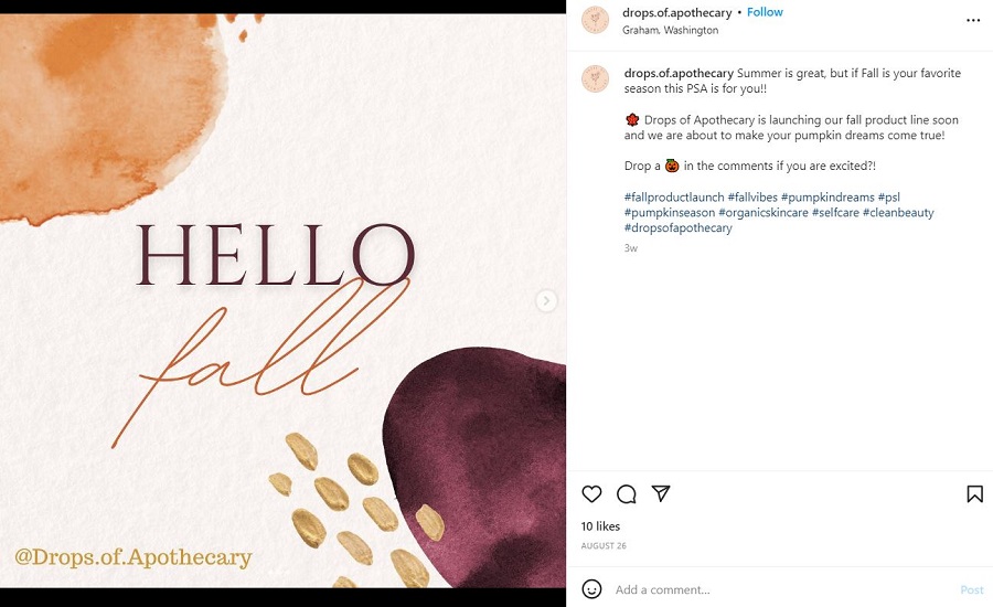 fall instagram captions - fall product launch instagram