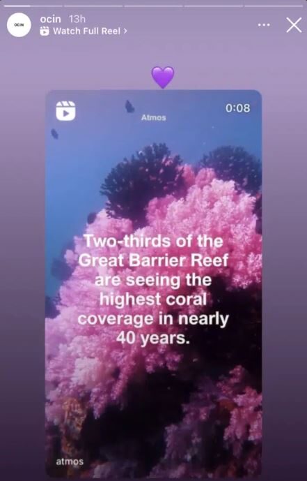 instagram story ideas - example of a repost on a creative instagram story
