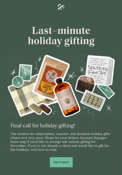 holiday email marketing example of gift guide from a business