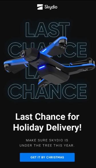 holiday email marketing example advertising last chance for holiday delivery