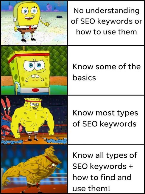 types of seo keywords spongebob strong meme