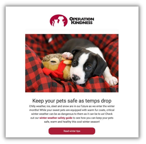 email newsletter example from operation kindness