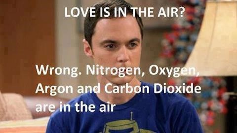 valentines day slogans - meme about love in the air