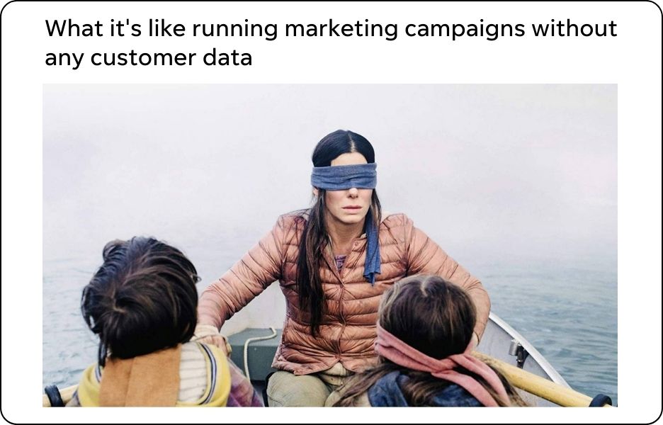customer data - sandra bullock bird box marketing meme