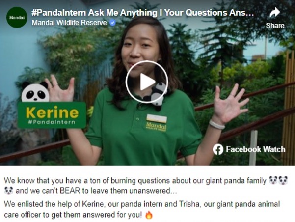 engaging post on social media example from pandaintern on facebook
