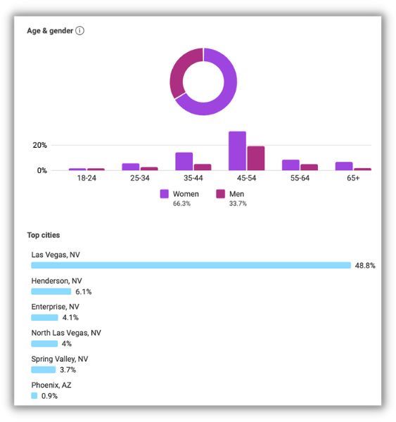 facebook audience insights demographics