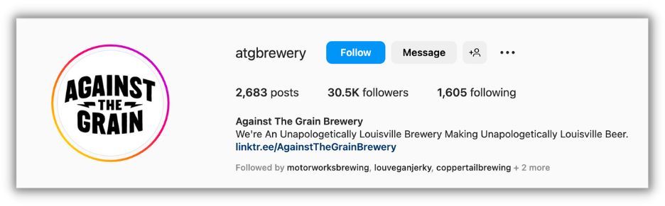 instagram bio example from against the grain