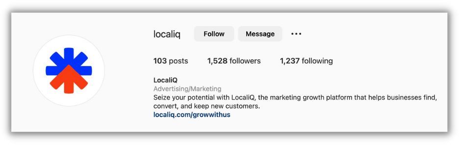 instagram bio example from localiq