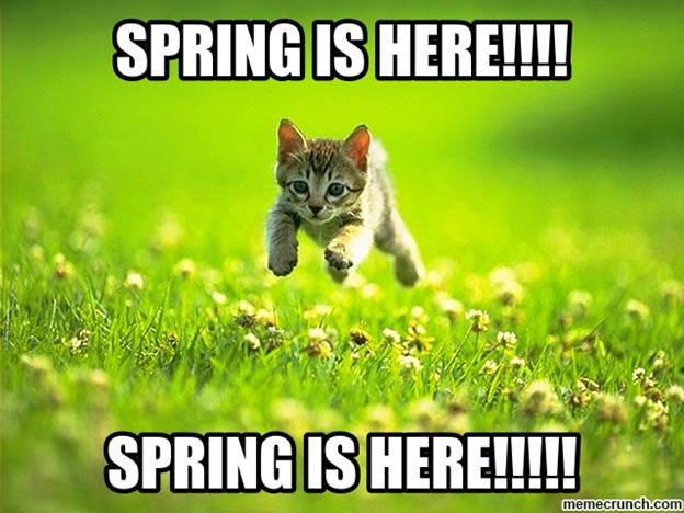 spring marketing slogans - meme of cat excited for spring