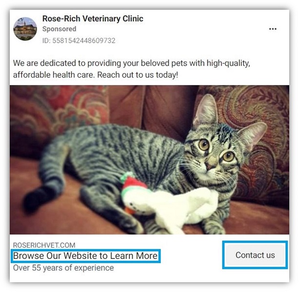 Rose-Rich Veterinary Clinic, Animal Care