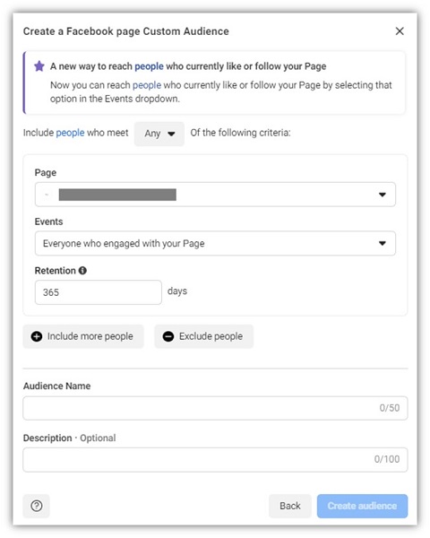 how to run facebook ads - custom audience parameters