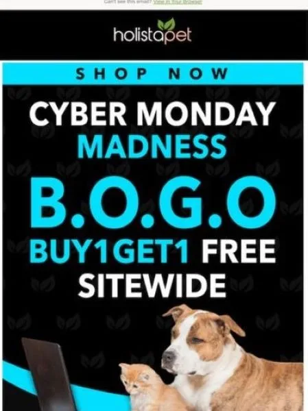 email subject lines for sales - email from holistapet.