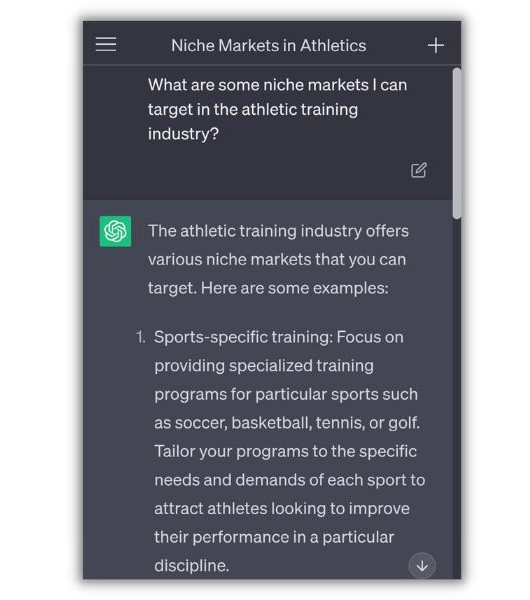 Niche markets - screenshot of ChatGTP response on niche markets