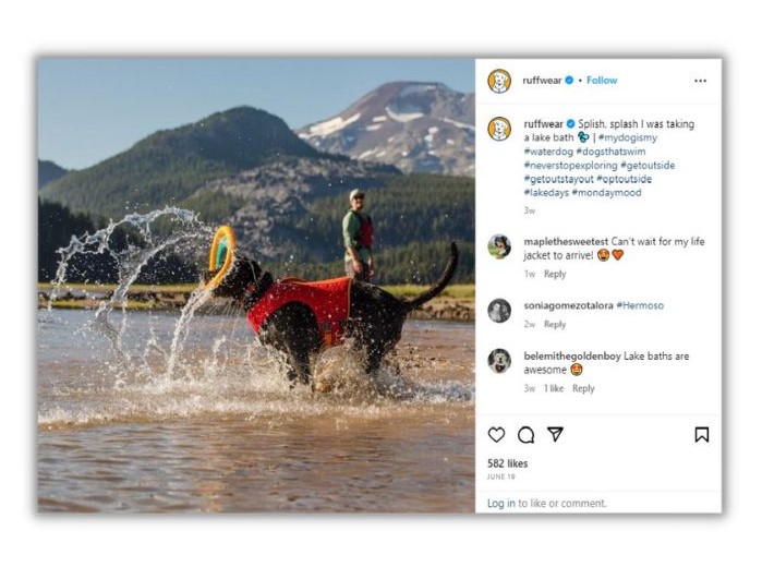 Niche marketing - Ruffwear Facebook post