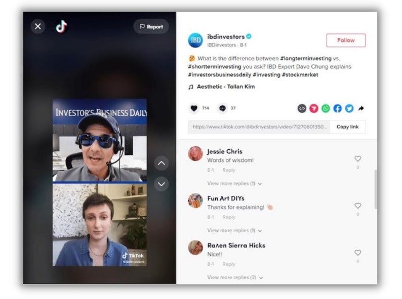 How to get followers on tiktok - screenshot of the investors TikTok