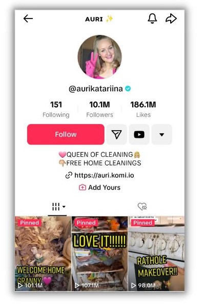 TikTok bio ideas - screenshot of Katarina auri tiktok profile