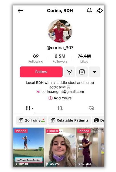 TikTok bio ideas - screenshot of Corina RDH tiktok profile