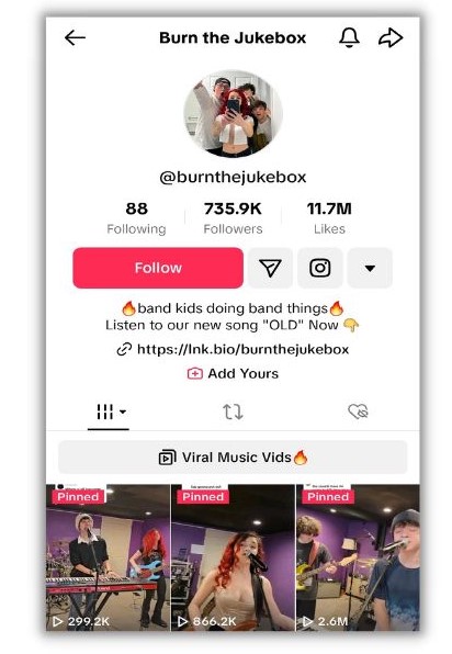 TikTok bio ideas - screenshot of Burn the Jukebox tiktok profile