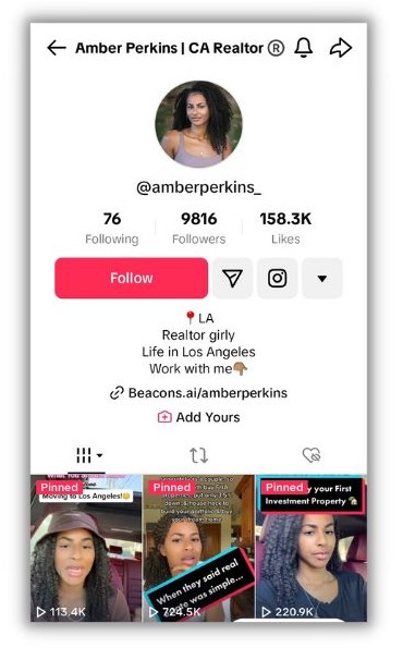 TikTok bio ideas - screenshot of Amber Perkins tiktok profile