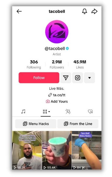 TikTok bio ideas - screenshot of taco bell tiktok account