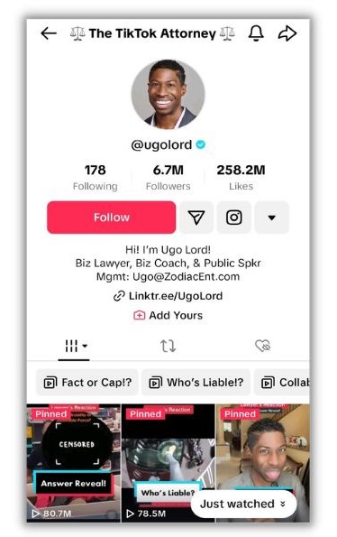 TikTok bio ideas - screenshot of Ugo Lord tiktok profile