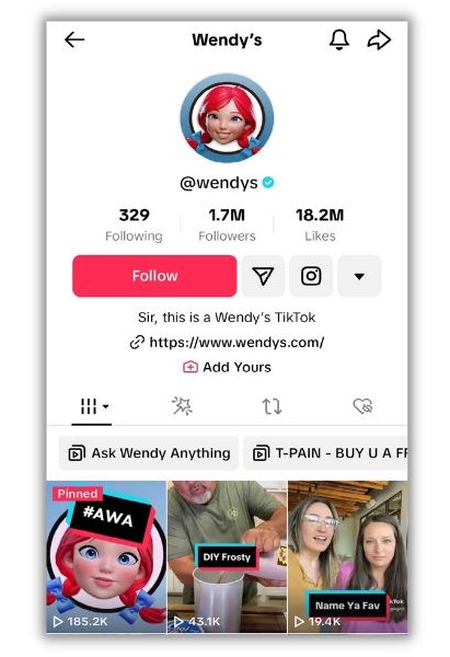 TikTok bio ideas - screenshot of Wendy's tiktok profile
