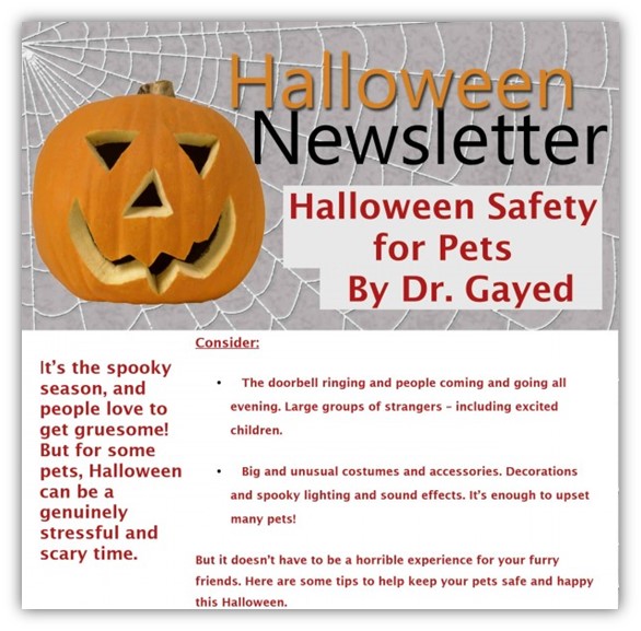 halloween email subject lines - halloween newsletter email example