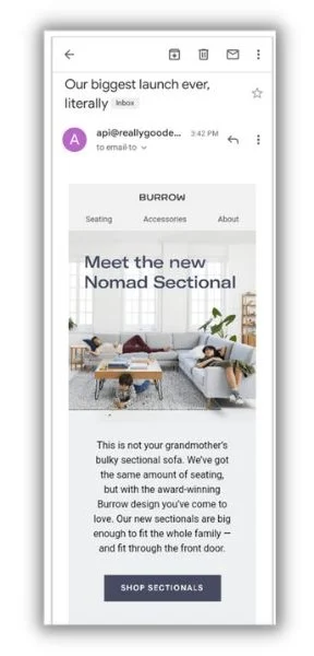 Happy new year email templates - example from Burrow