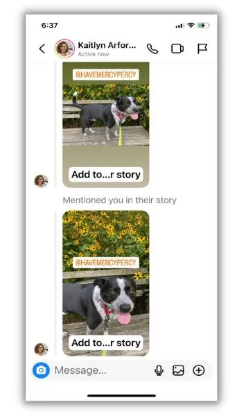 How to repost a story on instagram - screenshots of steps to repost a story