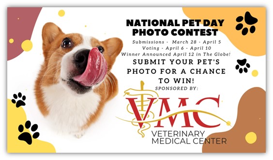 april newsletter ideas - pet day contest email content example