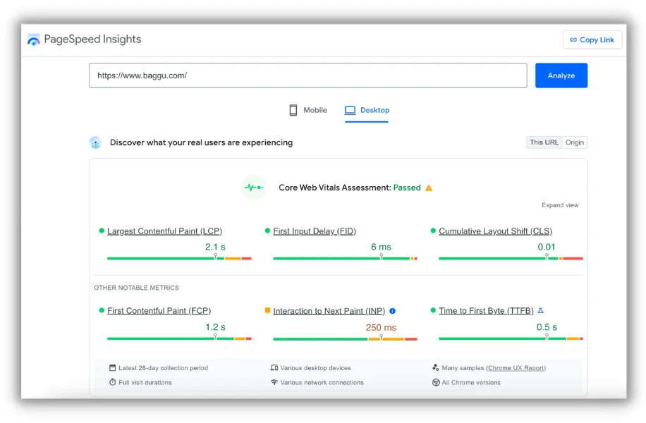 google pagespeed insights tool for baguu