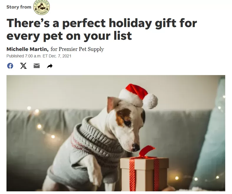 headline examples - headline for a pet gift guide.