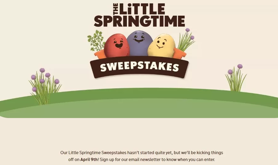 spring promotion ideas - spring sweepstakes example