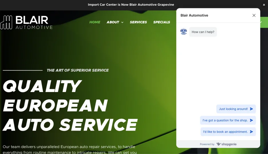 AI for customer service - Blair Automotive chatbot.
