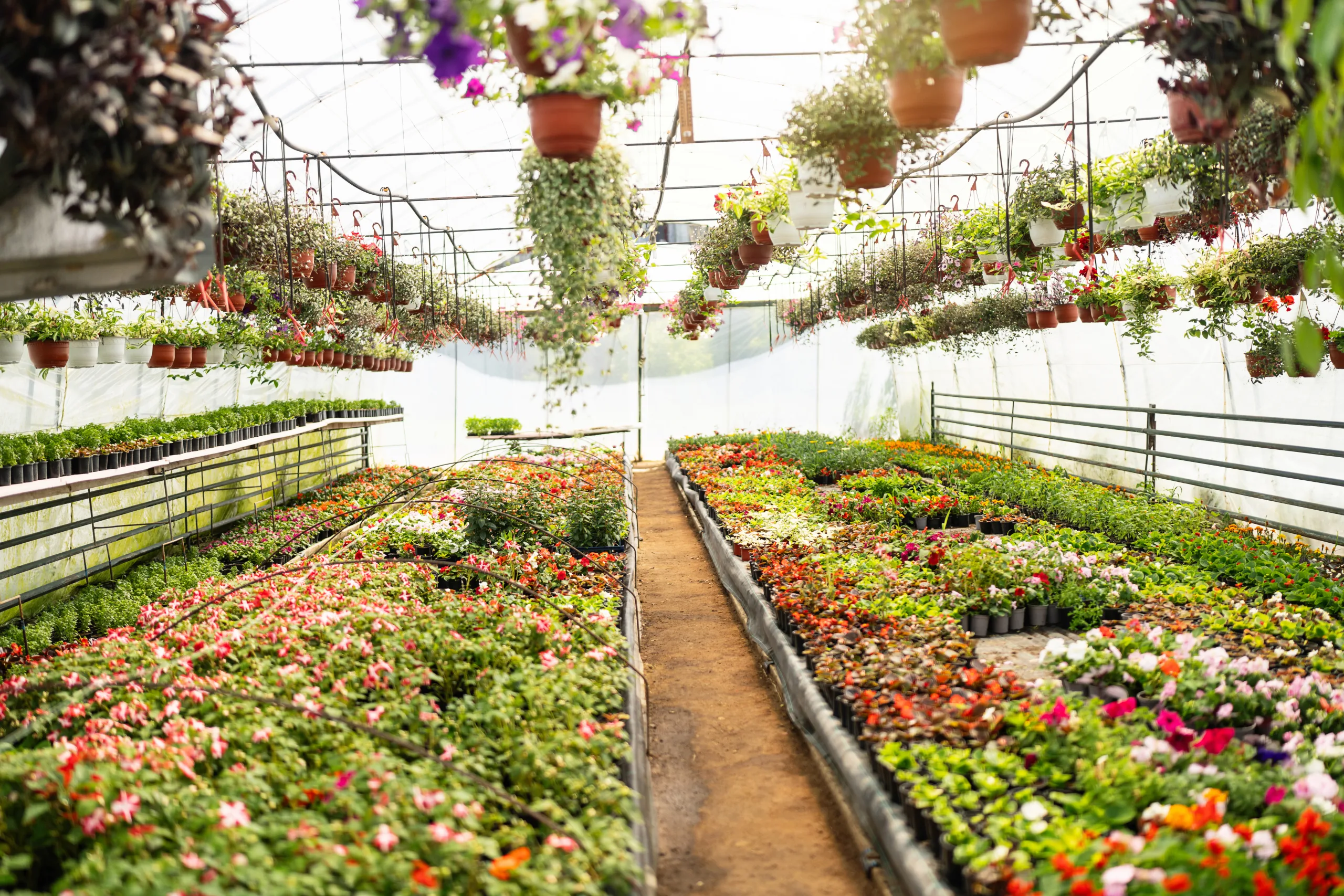 LocaliQ Solutions Maximize Revenue for Lukas Nursery